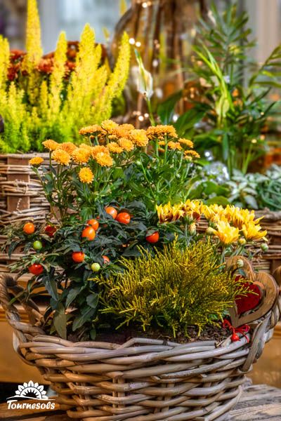 Composition automnale de fleurs multicolores et baies saisonnières ajoutant du cachet à votre déco intérieure